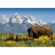 3 - Grand Teton Range - 3D Lenticular Postcards  Greeting Cards - NEW For Cheap