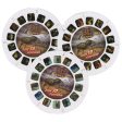 Dinosaurs - 3 Reel Set - New For Discount