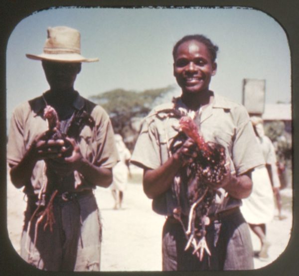 People of Haiti - View-Master Single Reel - 1946 - vintage - 590 Sale