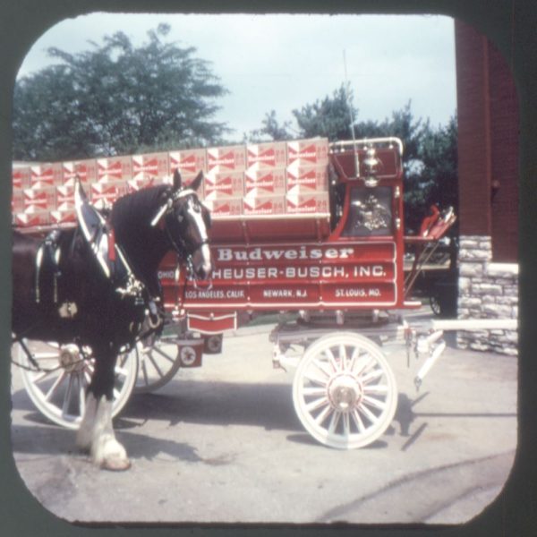 Anheuser - Busch Brewery - View-Master 3 Reel Packet - 1970 views - vintage - A460-G5A Supply