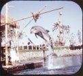 Sea World San Diego - View-Master 3 Reel Packet - 1960s - vintage - A192-S6A Supply