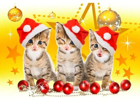 Christmas Kittens - 3D Action Lenticular Postcard Greeting Card - NEW Online Hot Sale