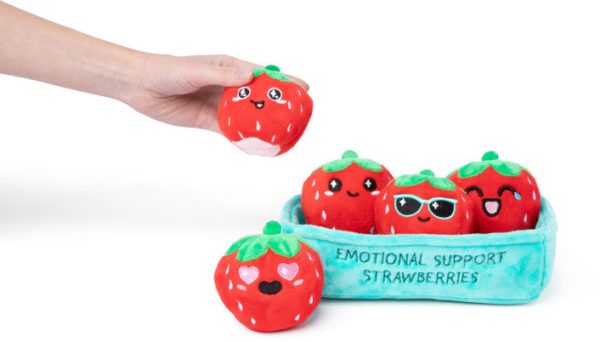 Emotional Support Strawberries Online Sale