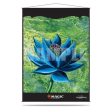 MTG Wall Scroll Online Hot Sale