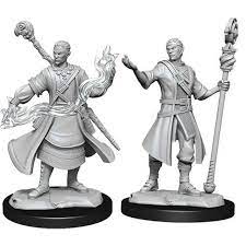 D&D Miniature Figurine - Half-Elf Wizard Online